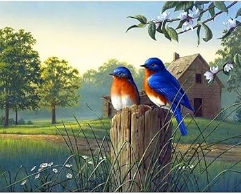 アクリル絵　オリジナル作品　キャンバス　イラストレーション Amazon | 数字による絵画動物鳥キットアクリル絵の具キャンバス